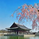 경회루 - 동구 중앙대로180번길 6-13 | 경회루