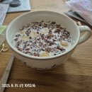 독구제과 | 독일로 다시 복귀, 인천-프랑크푸르트 아시아나 후기, 독일 교회음악감독 취임식, 시차적응, 독일세끼...