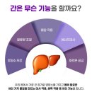 엔플러스 이미지