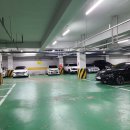 우진동물병원 이미지