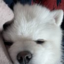 광수육회 이미지