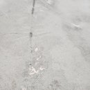 산호대로-24 이미지