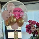 제주성가든 Daum카페