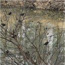 플러스공인중개사사무소 | 의정부부동산, 믿을 수 있는 동아탑플러스공인중개사사무소의 비밀과 매력을 발견하다!