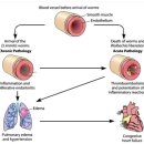 해봄동물병원 이미지