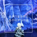탄금유치원 | 충주 아쿠아리움 아이와 함께 가볼만한곳 체험 입장시간 수유실 후기
