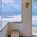 제주청개구리부동산중개 이미지