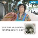 감나무자판기