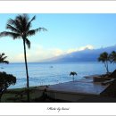 하와이 #1. 평화로운 섬 마우이.. 이미지