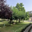 인터넷짱 이미지