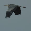 주봉서원 이미지