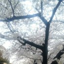 늘푸른지역아동센터 이미지