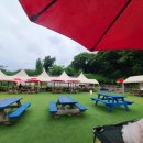 도그베이 이미지