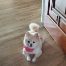 오태동물병원 이미지