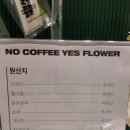 노커피예스플라워 이미지