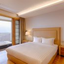 소노펠리체 비발디파크 이미지