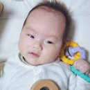 신생아 아기 보습 지키는 아토팜 베이비세라크림 f.이마트에서 만나요