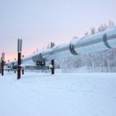 대동제약(주) 이미지