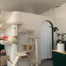 안성조명 이미지