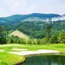 하이원 컨트리클럽 이미지