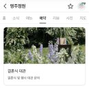 명주공방 | [상주 함창 카페] 명주정원｜문경 근교 가볼 만한 대형 베이커리 카페 솔직후기(내돈내산)