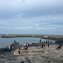 16코스(고내포구-항파두리-광령1리) #1-3 | [2024제주올레걷기축제] 제주올레 16코스를 고내리레포츠공원에서 항파두리 항몽유적지까지 걷다