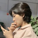 담따 이미지