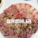 [진해 용원]용원향어나라 용원동향어횟집 강력추천