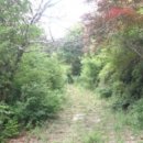 회성동267 이미지