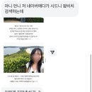 뉴대장금 | 호주 워홀 🇦🇺 Day 104~114 | 발모랄 비치, 머레이 로즈 풀, 피쉬마켓, 메도뱅크 치과, 커스텀스 도서관