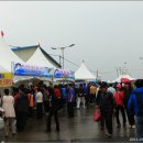 [서천여행] 양식 No. 자연산을 믿고 먹을 수 있는 마량포구의 광어도미 축제 이미지