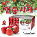 자연-탄생 이미지