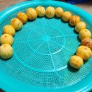 꼬독꼬독 Daum카페