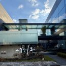 대려도 | 역삼: 70년 전통 중식당! 대려도 단품후기(탕수육,짜장면)