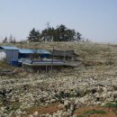 나주배박물관 이미지