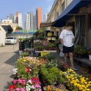 경산농약사 이미지