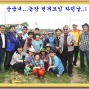 순금농장 이미지