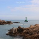 죽성드림세트장 이미지