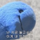 (주)뉴체스 | 8박10일 호주여행 포스팅 1탄: 시드니 Day1(젯스타 후기,YEHS 하버 스위트,싱글오,루벤힐스,서리힐즈...