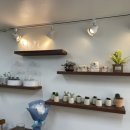 (주)리틀바이리틀 이미지