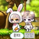 송헤어아트 - 송파구 | 송헤어아트