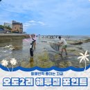 유양2리마을회관 | 포항 오도2리 해수욕장 옆 해루질 하기좋은 스노클링 명소