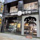 제주 애견 아가야 이미지