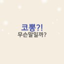 손뽕눈뽕 | 2025년 최근 신조어 '코뽕' 무슨 뜻일까? 눈뽕 입뽕 손뽕 자존감뽕??