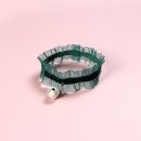 쁘띠 애견 이미지