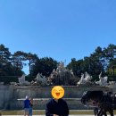 용구&마차 | [비엔나-2일차-2] 쇤브룬궁전, 카페글로리에떼, 피그뮐러