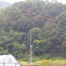 갈풍농장 이미지