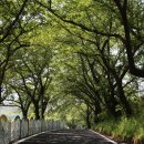 국도19호선 이미지