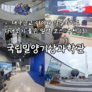 국립밀양기상과학관 | 대구근교 당일치기 아이와 가볼만한곳 국립밀양기상과학관 후기