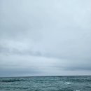 바다정원;바다정원애견